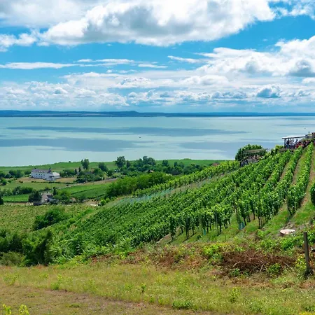 Nyaraló Treasure Of The Past With Whirlpool - Happy Balatonrendes
